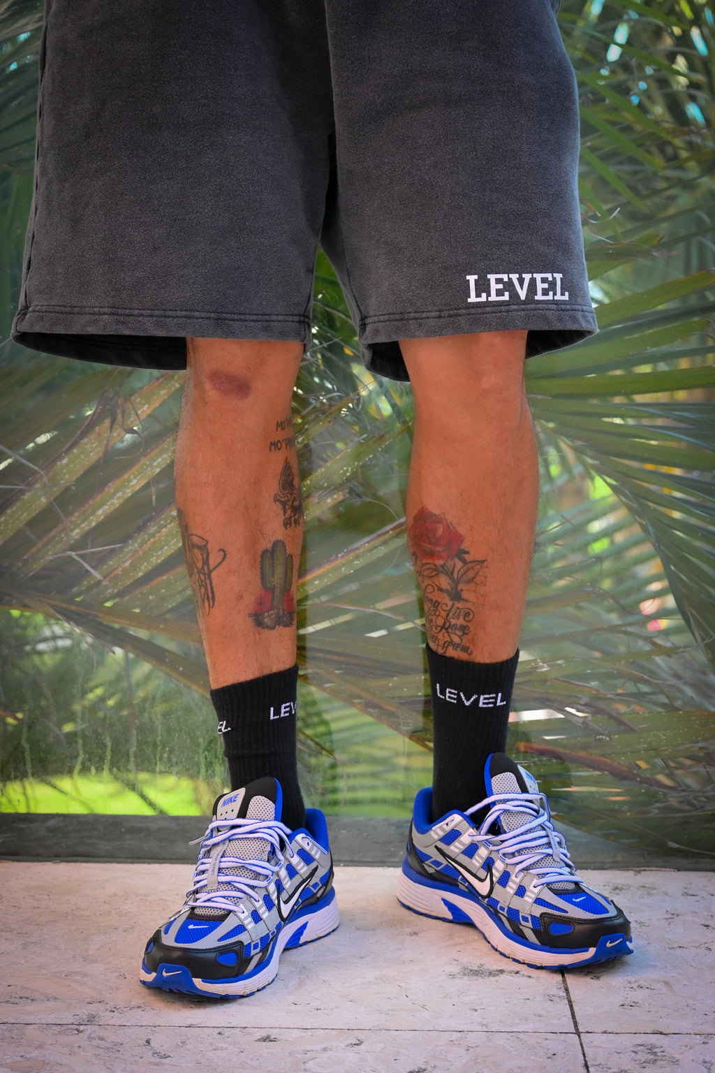 Level Shorts